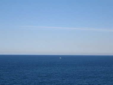 whale watching02